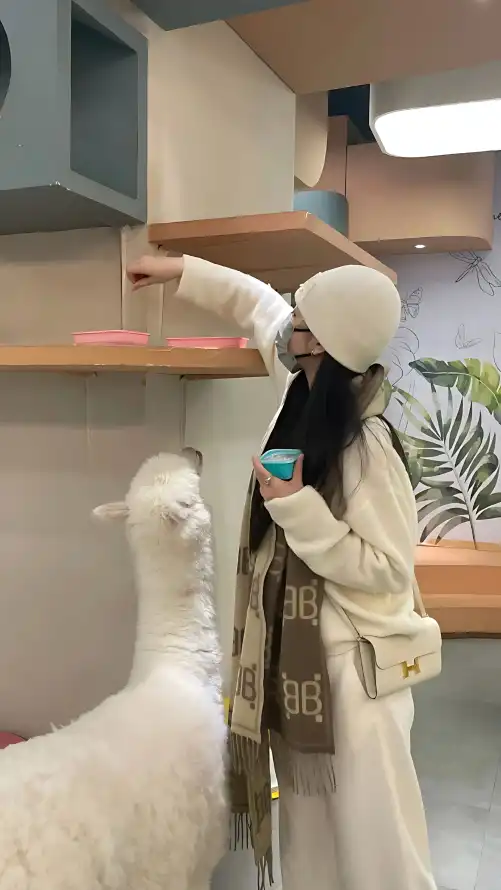 狠狠综合久久久久尤物_国产超碰人人爽人人做_欧美日韩一区二区精品视频在线观看